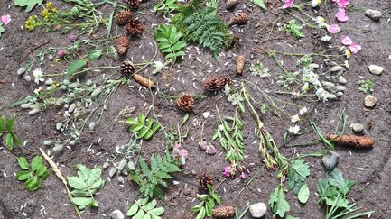 Waldmandala