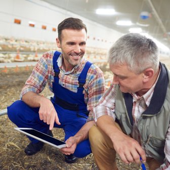 Zwei Männer in einem Hühnerstall betrachten gemeinsam ein Tablet, während Hühner im Hintergrund zu sehen sind.